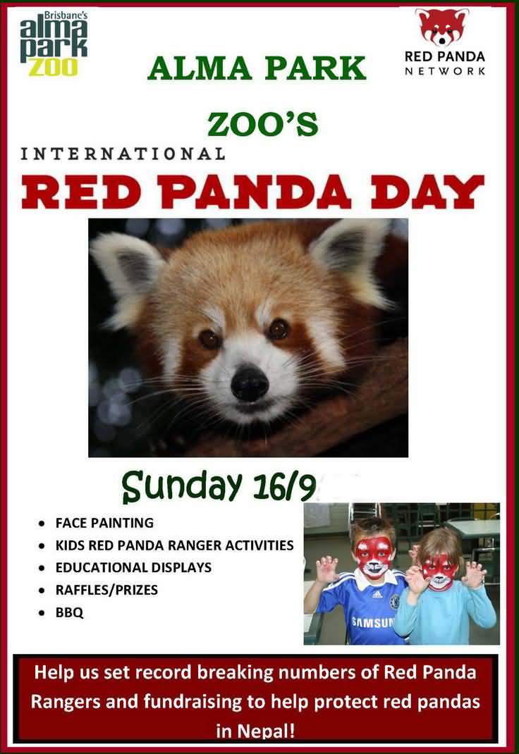 Alma Park Zoo’s International Red Panda Day