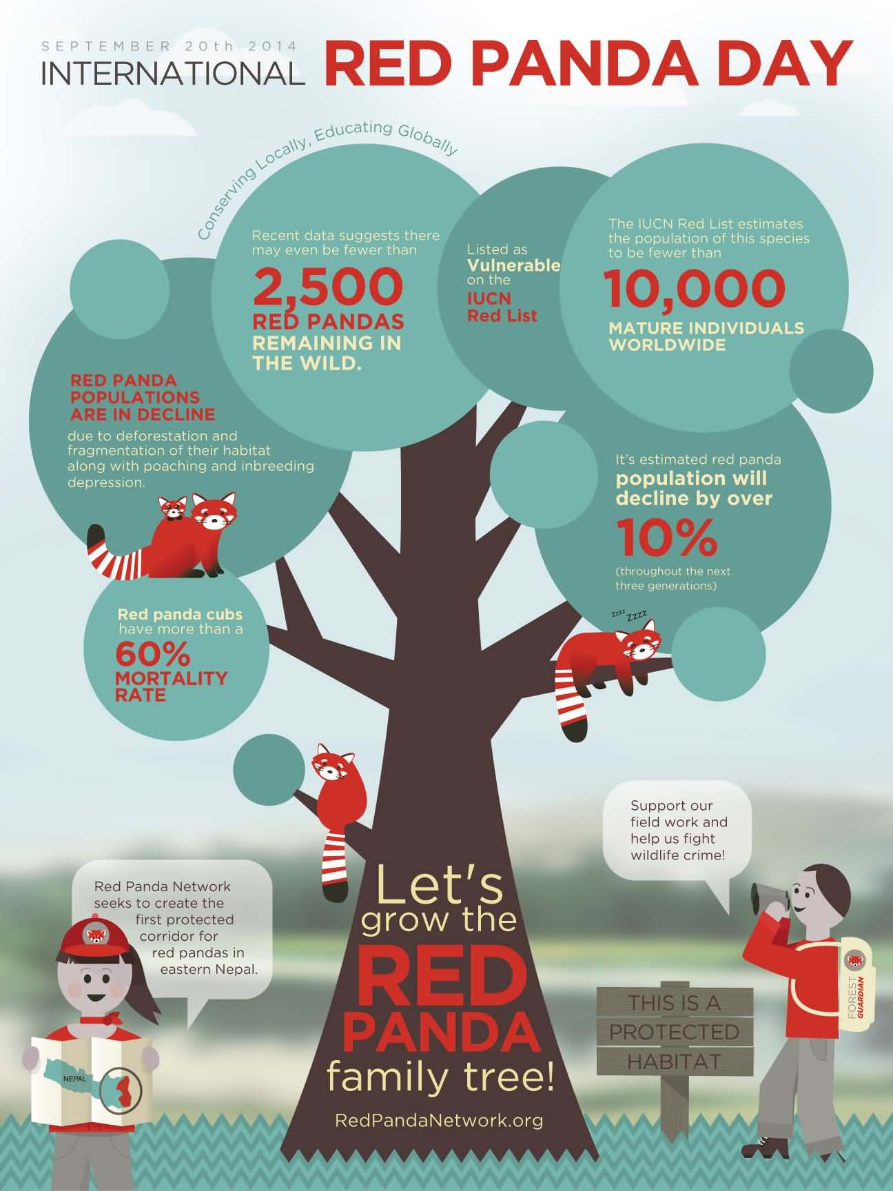 International Red Panda Day Let's Grow The Red Panda Family Tree