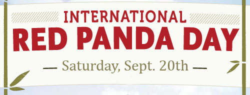 International Red Panda Day September 20th