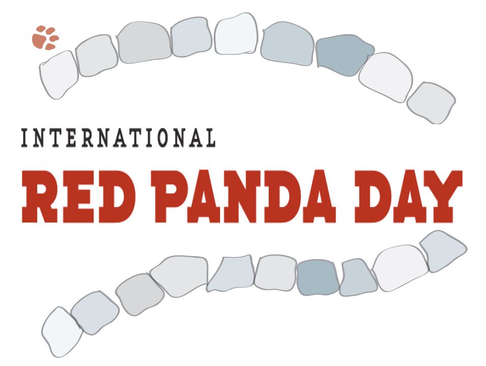 International Red Panda Day Stones And Red Panda Foot Prints