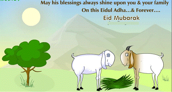 May his blessings always shine upon you & your family on this eid ul adha & forever Bakrid Mubarak