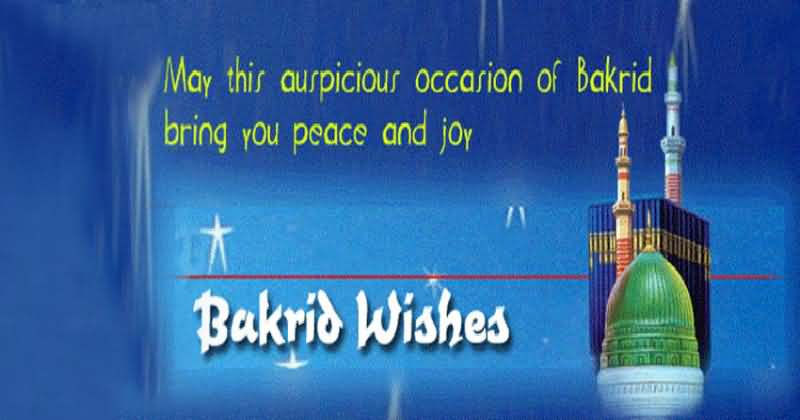 May this auspicious occasion of Bakrid bring you peace and joy Bakrid wishes