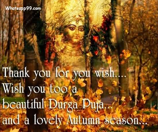 Thank you for you wish.... wish you too a beautiful Durga Puja and a lovely autumn season