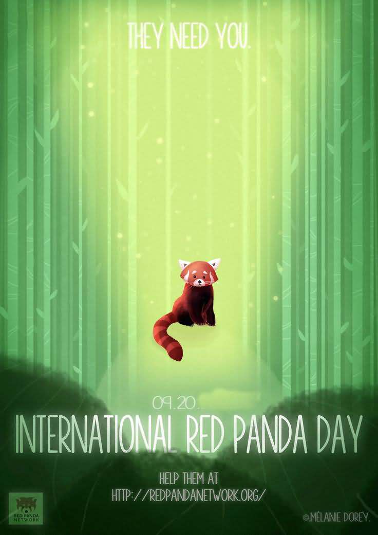 They Need You International Red Panda Day Card