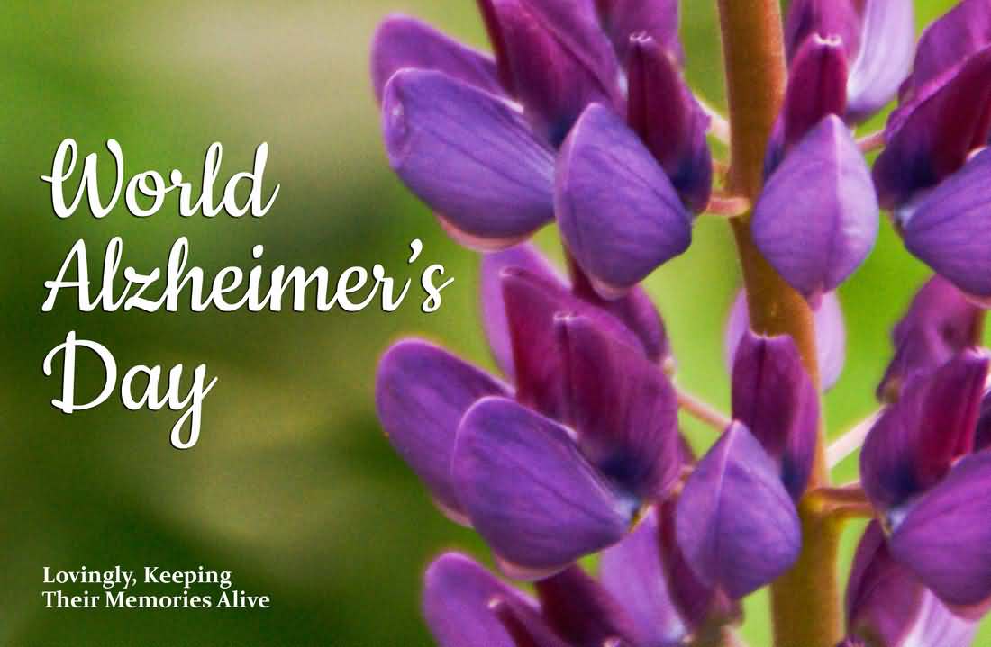 World Alzheimer’s Day Lovingly, Keeping Their Memories Alive Purple Flowers In Background