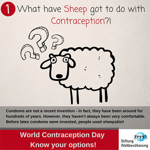 World Contraception Day Know Your Options