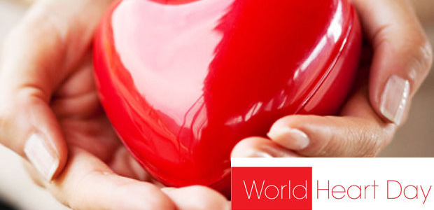 World Heart Day red heart in hands picture