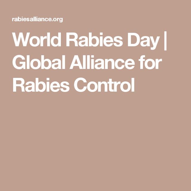 World Rabies Day global alliance for rabies control