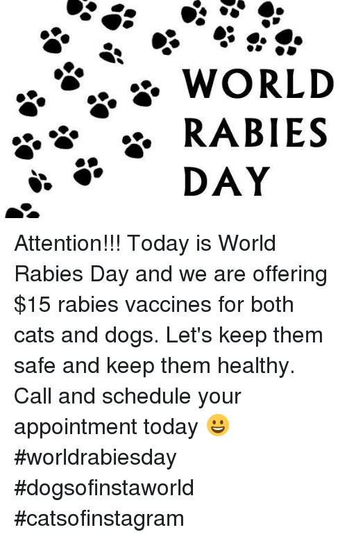 World Rabies Day information