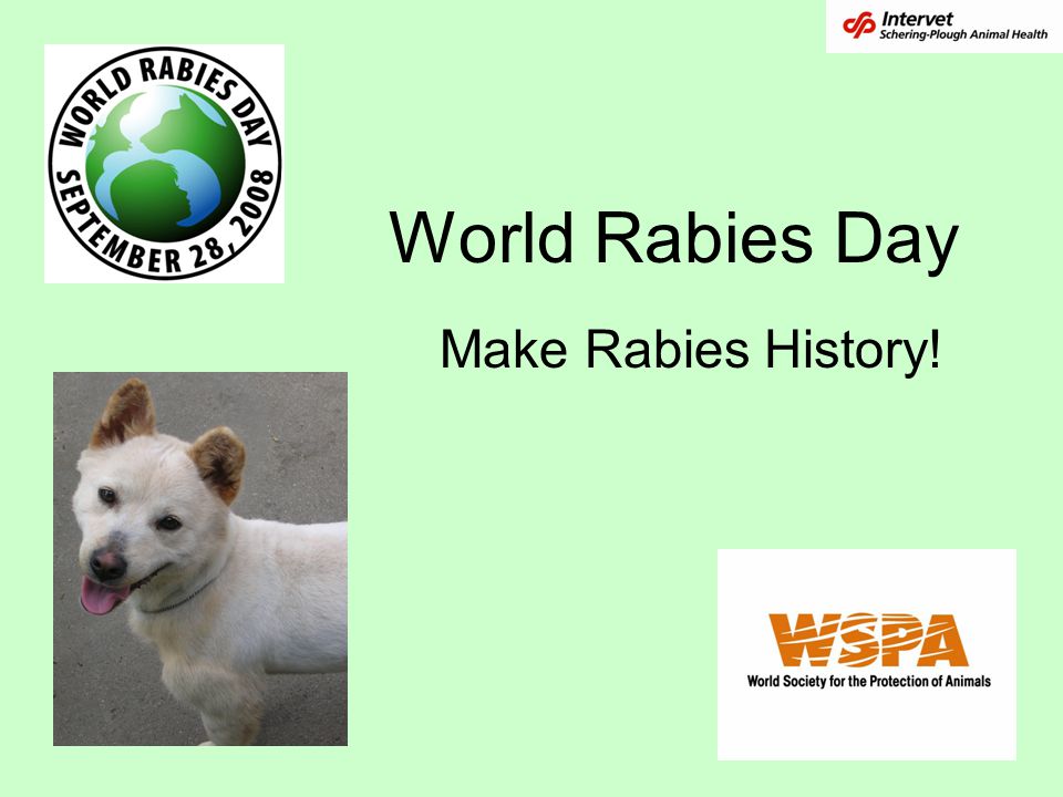 World Rabies Day make rabies history