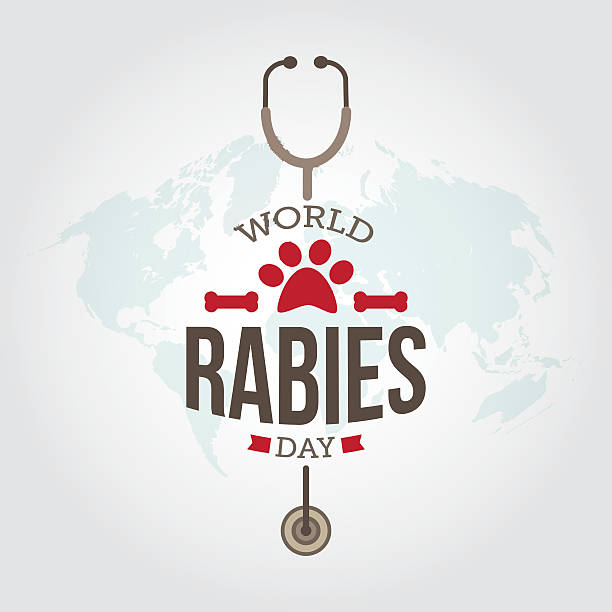 World Rabies Day stethoscope illustration