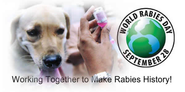 working together to make rabies history World Rabies Day september 28