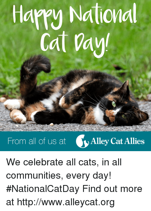 Happy National Cat Day We Celebrates All Cats In All Communities Every Day