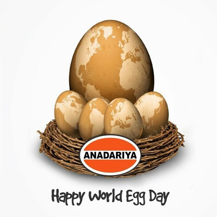 Happy World Egg Day Eggs With World Map Picture