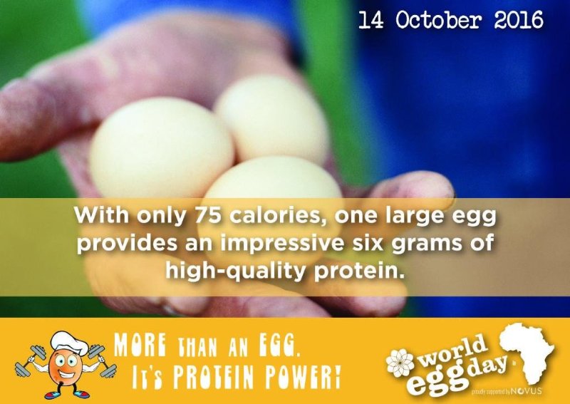 More Than An Egg It’s Proein POwer World Egg Day Benefits Of Eggs