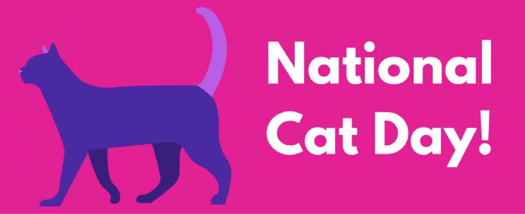 National Cat Day Walking Cat Facebook Cover Picture