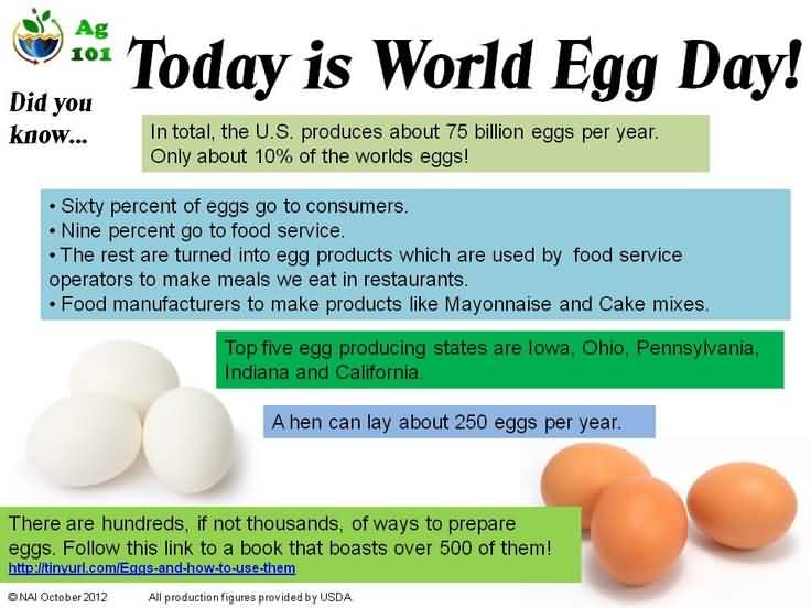 Today Is World Egg Day Information About Eggs