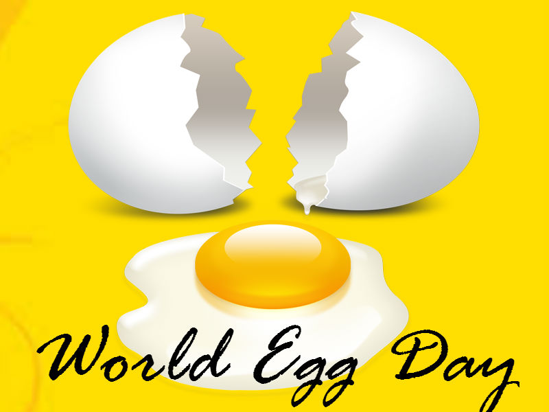 World Egg Day Broken Egg Picture