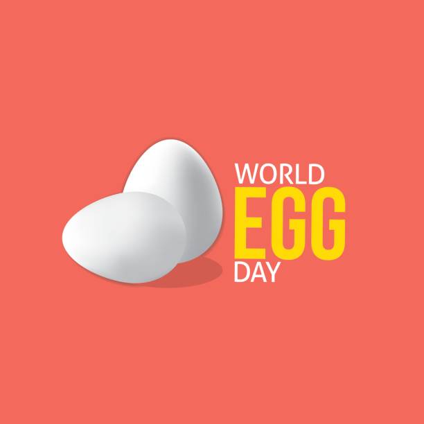 World Egg Day Two Eggs Illustration