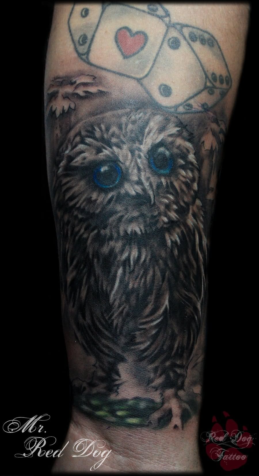 Black & Grey Ink Baby Owl Tattoo On Forearm by Red dog tattoo