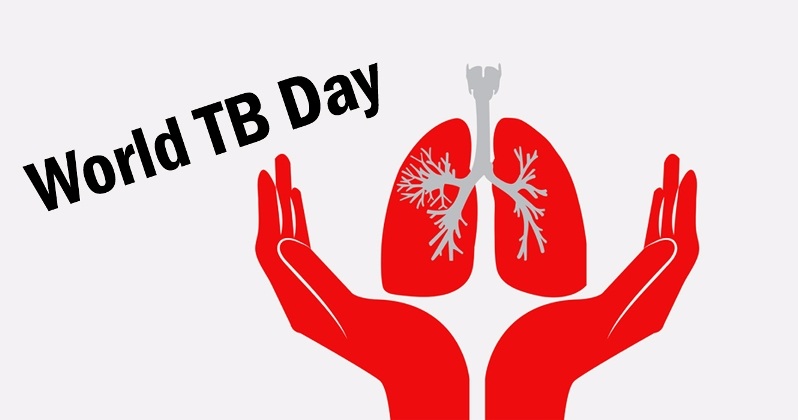 World Tb day kidneys in hands