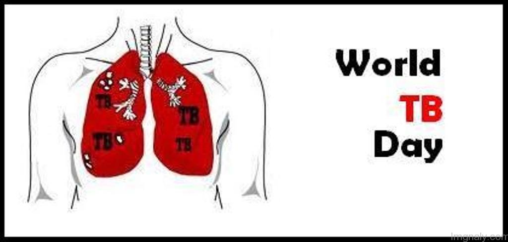 World Tuberculosis Day kidneys picture