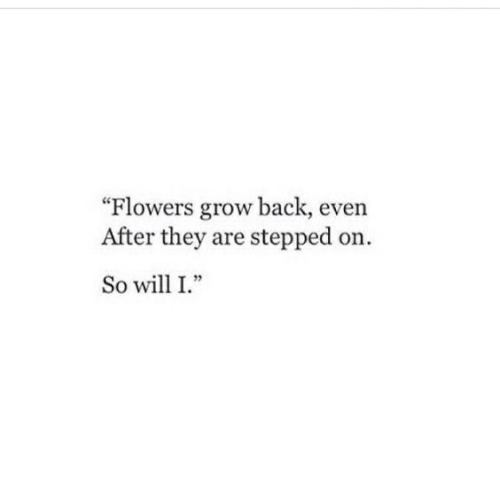 Flowers grow back, even After they are stepped on. So will I.