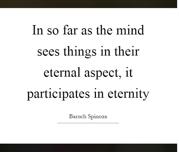 In so far as the mind sees things in their eternal aspect, it participates in eternity. ― Baruch Spinoza