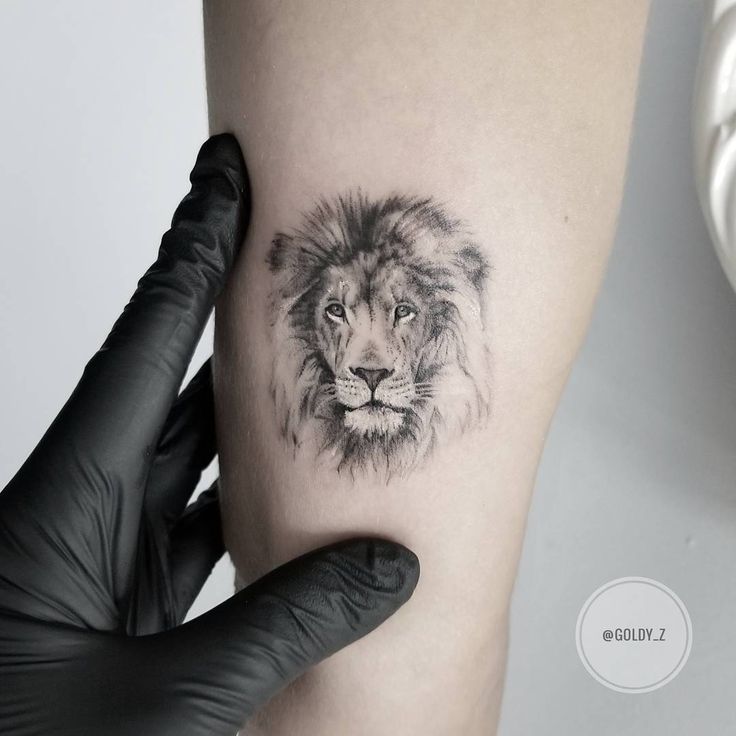 Amazing shading on a lioness tattoo done by @daniluz21 | www.otziapp.com |  Lioness tattoo, Weird tattoos, Lioness tattoo design