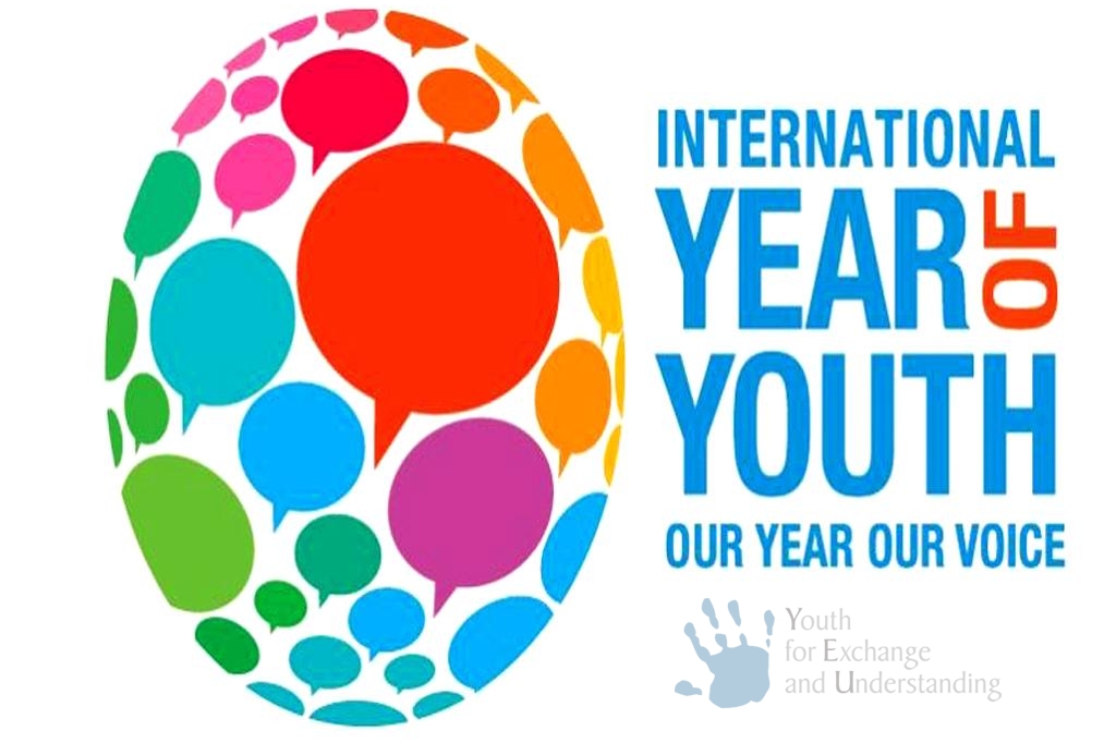 international year of youth our year our voice