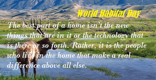 World Habitat Day best quote