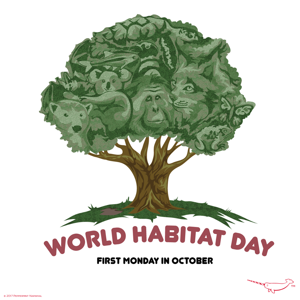 World Habitat Day first monday in october save the species