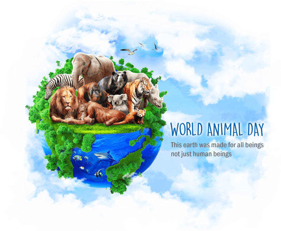 world animal day this earth was made for all beings not just humans beinsg