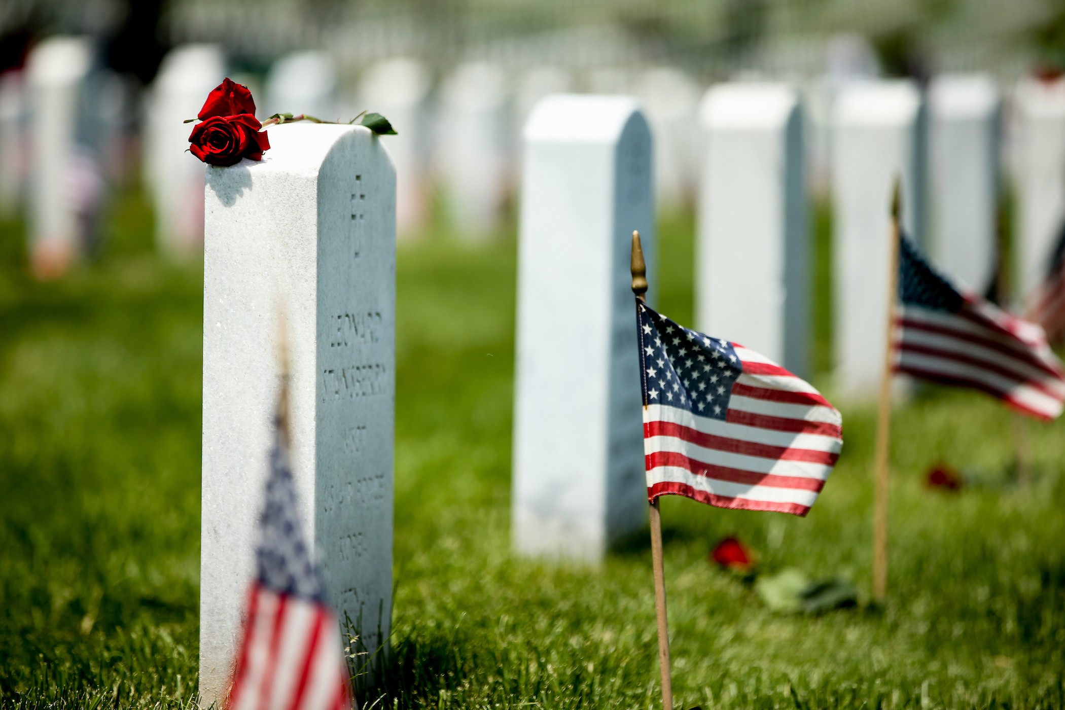 Veterans Day cemetery with flag