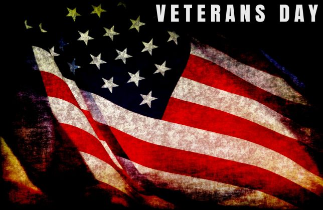 Veterans Day us flag background picture