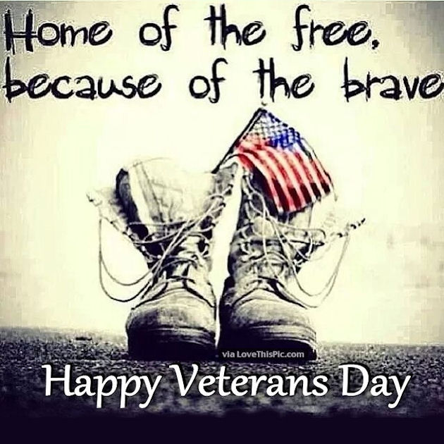 home of the free, because of the brave happy Veterans Day