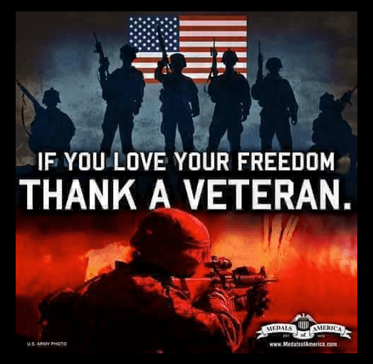 if you love your freedom thank a veteran