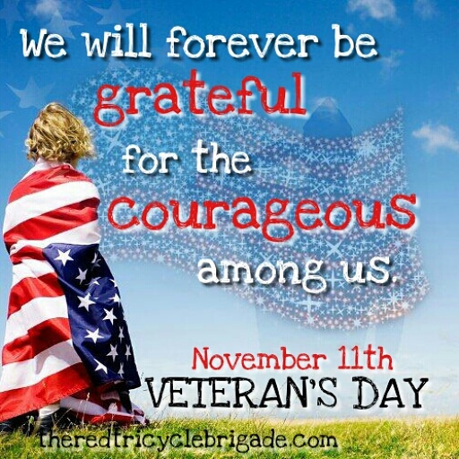 we will forever be grateful for the courageous among us Veterans Day november 11th