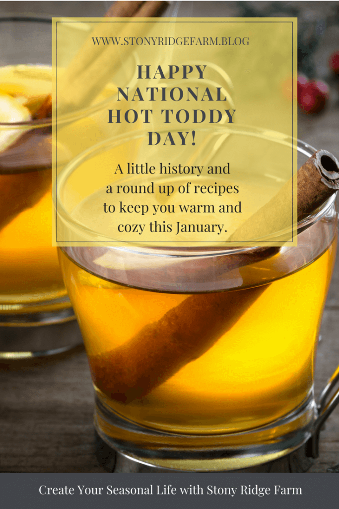 happy national Hot Toddy Day