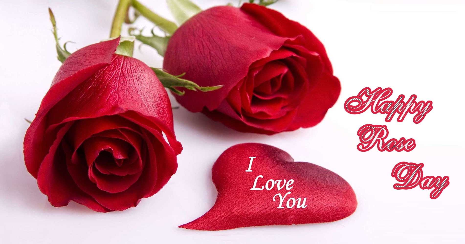 Happy Rose Day i love you heart and rose flowers