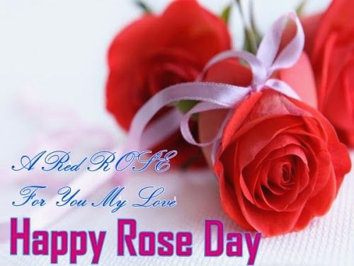 happy valentine day rose Custom Rose Day Wishes For For friend Valentines Day