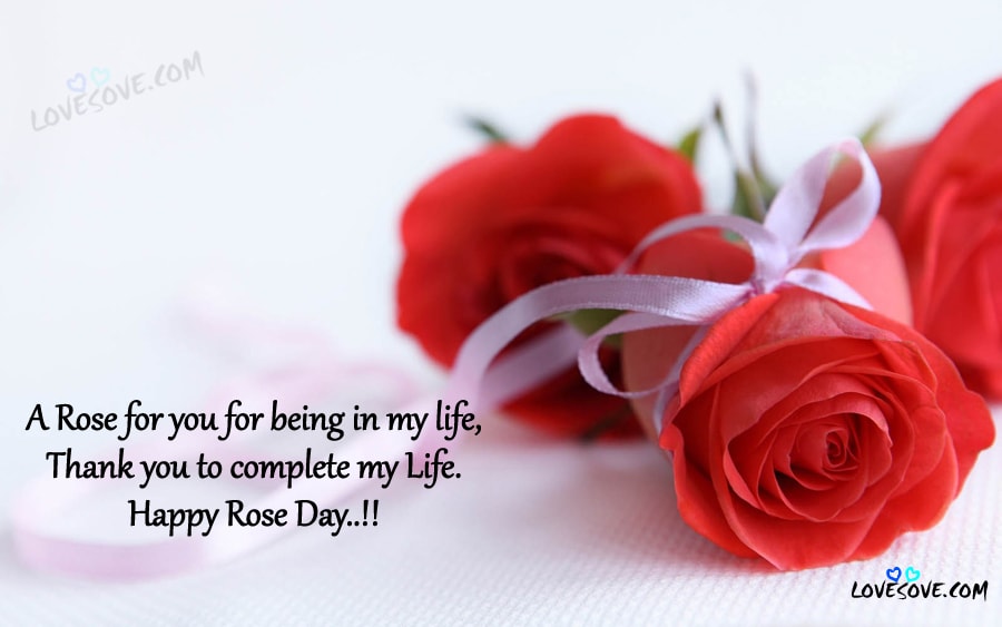 a rose for you for being in my life thank you to complete my life happy Rose Day