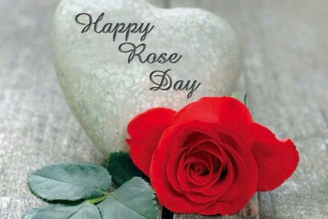 happy Rose Day 2019