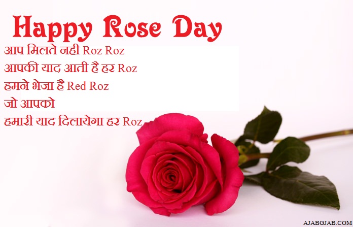 happy Rose Day hindi wishes picture