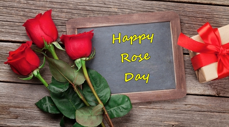 happy Rose Day red rose buds and black board picture