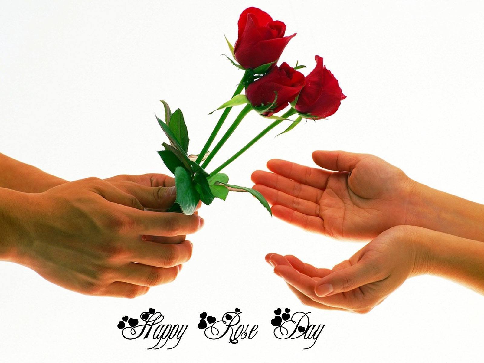 happy Rose Day roses for you