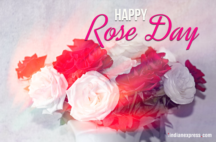 happy Rose Day white and red roses picture