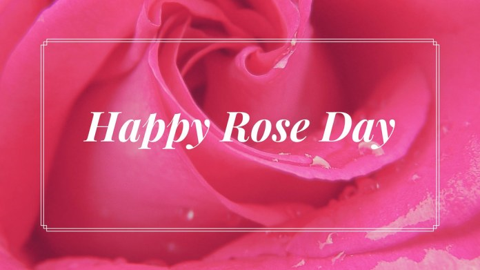 happy Rose Day wishes photo