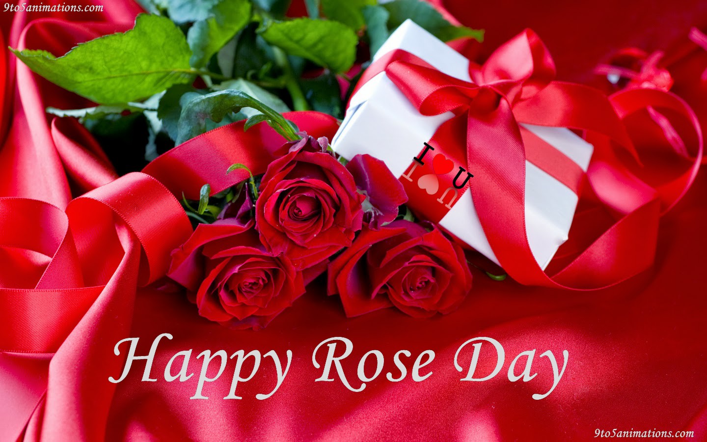 happy Rose Day wishes wallpaper