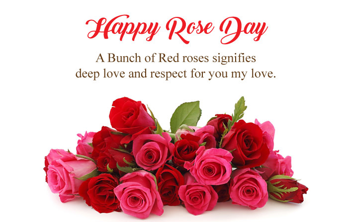 happy rose day a bunch of red roses signifies deep love and respect for you my love